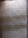 image number 7